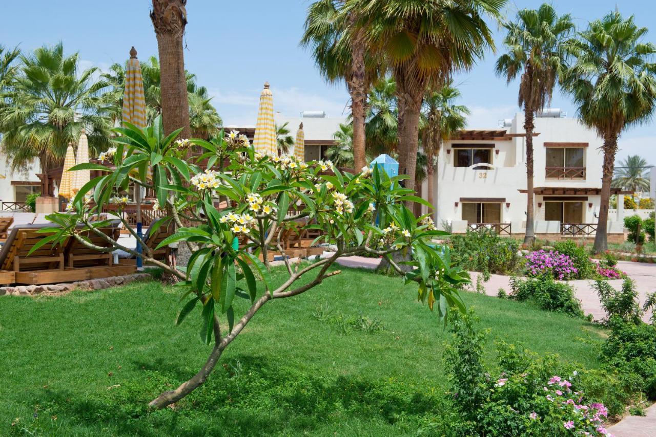 Amphoras Aqua Hotel Sharm el-Sheikh Exterior foto